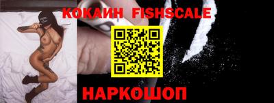 прущие грибы Кохма